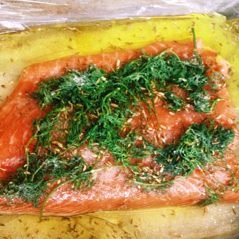 Prepping salmon with fresh dill, fennel seed, salt cure, and Pernod.